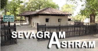 sev ash short